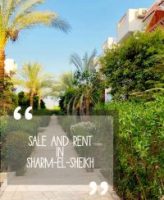 Irina Khagar. Rent and sale in Sharm-El-Shekh