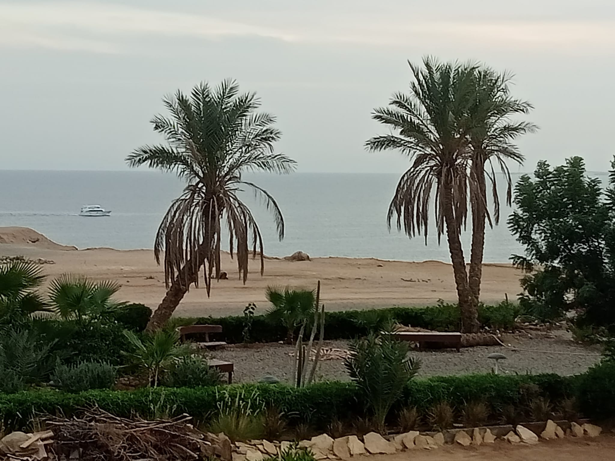 1bedroom apart., private terrace, Hadaba. Sharm-el-Sheikh P-1W8TN3MD